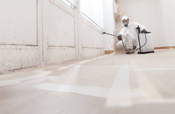 24/7 Emergency Mold Testing experts in Broad Top, PA