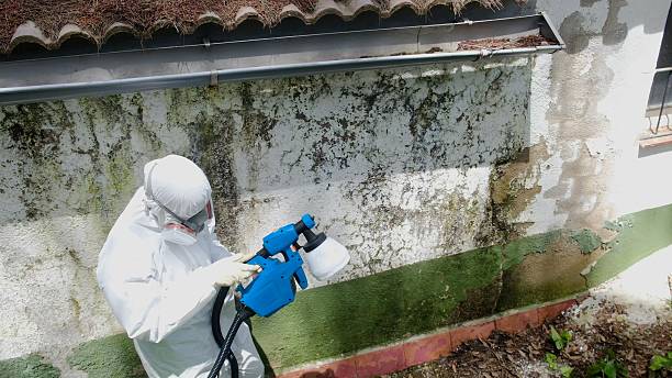 Trusted Mold Inspection service in Broad Top, PA - Cheap Mold Removal